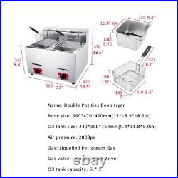 LPG 6L Commercial Gas Fryer Stainless Steel Catering Frying Tool Double Tank New