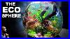 No_Filter_Ecosphere_Bowl_For_Nano_Fish_Shrimp_U0026_Snails_01_vmh